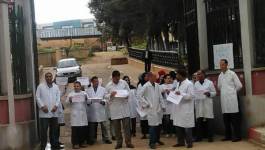 Sit-in des vétérinaires à Tiaret