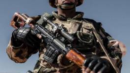Huit terroristes éliminés par les forces de l'ANP à Médéa