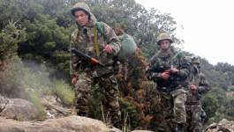 L’ANP élimine deux terroristes dans le massif forestier de Taza (Jijel)
