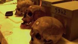 Des historiens français réclament la restitution des crânes d'Algériens à leur pays
