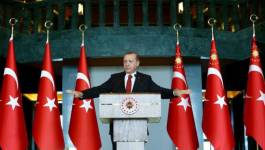 Erdogan à l'Occident : mêlez vous de ses affaires !
