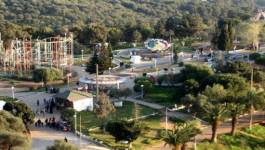 "Feu de broussailles" au parc d'attraction de Ben Aknoun, 1 hectare de ravagé