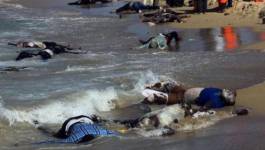 Au moins 162 morts dans le naufrage de migrants au large de l'Egypte