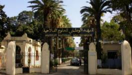 Deux professeurs licenciés pour avoir dénoncé le népotisme à l'INA d'El Harrach