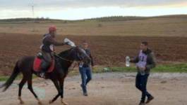Équitation: l’Algérie remporte le raid d’Endurance 120 Km de Tunis