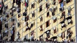 Explosion démographique en Algérie : quelles préconisations pour les années à venir ?