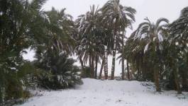 Images. Le Sahara algérien s'habille d'un manteau blanc