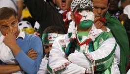 CAN 2017 : comportement indigne des spectateurs algériens à Franceville