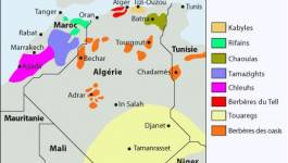 Les langues amazighes en voie de disparition (I)