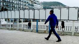 Affichage timide à Alger: la campagne électorale démarre dans l'indifférence.