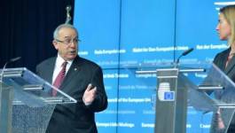 Les accords UE-Maroc "ne sont pas applicables au Sahara occidental" selon Mogherini