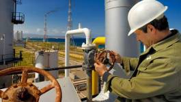 Les défis du gouvernement Tebboune face à la chute du cours des hydrocarbures