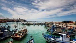 Pêche sauvage et pollution : les ressources halieutiques algériennes sérieusement menacées