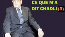3. «Sans moi, Bouteflika aurait été jeté en prison…»