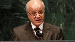 Mourad Medelci : La Ligue arabe a des problèmes avec l'opposition armée syrienne