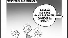 Le coup de griffe de notre dessinateur