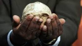 Un crâne vieux de 20 millions d’années présenté au Museum (Paris)