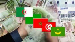 Presse au Maghreb, des organisations maghrébines condamnent la pression financière, politique et sécuritaire
