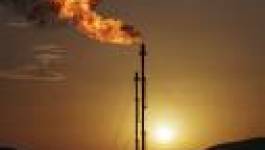 Algérie-corruption pétrolière : Où va une partie des recettes ? (1ère Partie)