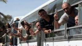 550 détenus palestiniens retrouvent la liberté