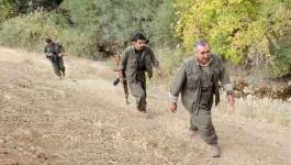 23 villageois kurdes tués dans une attaque en Turquie