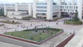 Oran : les étudiants du génie maritime en grève