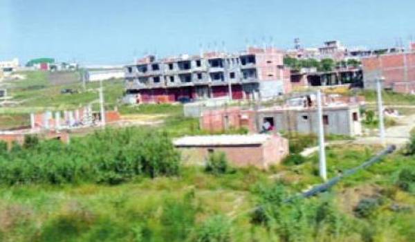 Alger : des terres agricoles pour la construction de logements