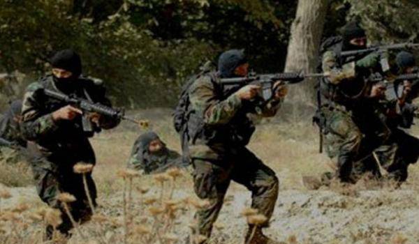 L'ANP a arrêté un dangereux terroriste à Yakouren, en Kabylie.