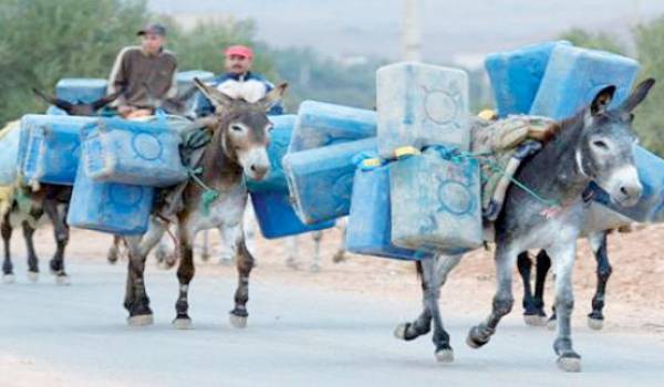 Contrebande: 660.000 véhicules au Maroc et en Tunisie roulent au pétrole algérien!