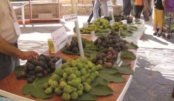 La valorisation des produits du terroir tarde à se mettre en place.