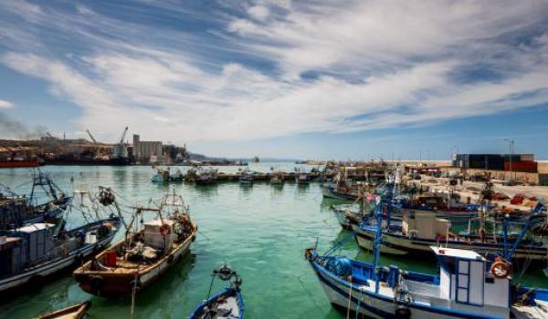 Pêche sauvage et pollution : les ressources halieutiques algériennes sérieusement menacées